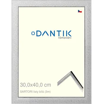 Rám na obraz DANTIK rámeček 30x40 | SARTORI listy čílá (Plexi Čiré) (Vyrobeno s láskou u nás v DANTIKU)