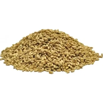 Návnadová surovina Pšenice - suchá Velikost: 1KG