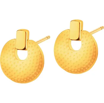 Náušnice Zlaté náušnice - AP537-6762