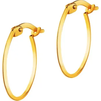 Náušnice Zlaté náušnice - AP532-3689