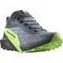 Pánská běžecká obuv Salomon Sense Ride 5 GTX M L47312800, 46