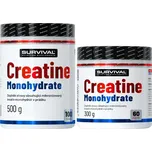 Survival Creatine Monohydrate 800 g