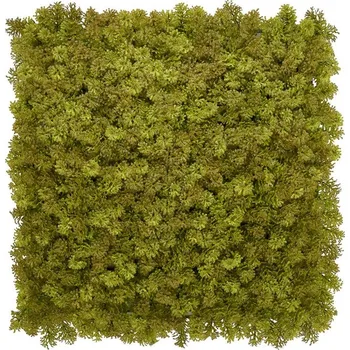 Koberec Europe Grass Umělý rostlinný panel KATE MOSS 50 x 50 cm - Panel 50x50 - 1 rok na vrácení + DOPRAVA ZDARMA k Vám i zpět