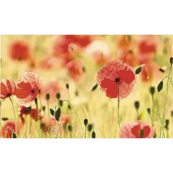 Obkladový panel do kuchyně mySpotti Profix Mohnet 100 x 60 cm PX-10060-1518-HB