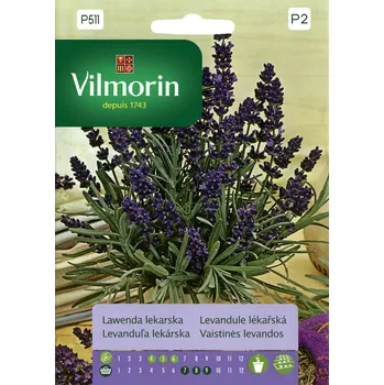 Semeno Vilmorin Premium levandule lékařská 0,2 g