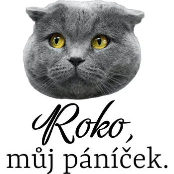 Party dekorace Tetovačky s mazlíčky č.2 (12 ks) - Design písma A