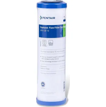 vodní filtr Pentair DFX, 10" SL, uhlíková vložka z lisovaného aktivovaného uhlíku (balení 5 ks)