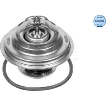 Těsnění motoru Termostat, chladivo MEYLE 028 287 0006