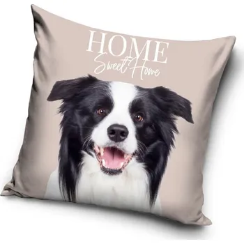 Polštář Povlak na polštář pes - Border kolie (3)