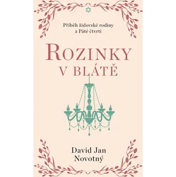 Kniha Rozinky v blátě - David Jan Novotný (E-Kniha)