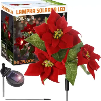 Dekorativní svítidlo Interlook FLD-22-RED | Zahradní solární lampa LED Betlémská hvězda | 70 cm, 600 mAh