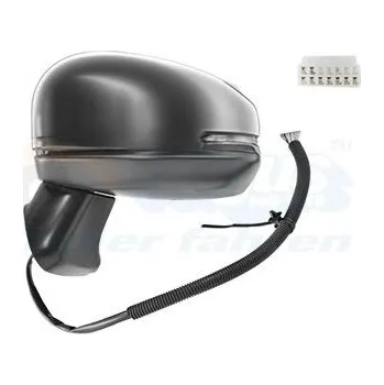 Auto zrcátko Vnější zpětné zrcátko VAN WEZEL 2562805