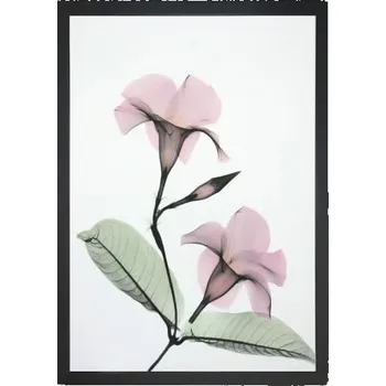 Obraz Obraz 24x29 cm Green Branch – Vavien Artwork ID_1240916