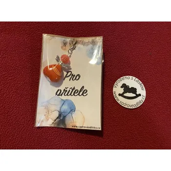 HandMade by VeJa Dárková karta - nejlepší přítel