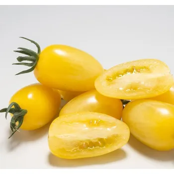 Semeno Rajče Dattolime F1 - Solanum lycopersicum - osivo rajčat - 6 ks
