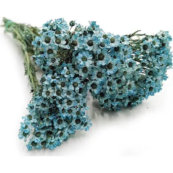 mech-mech.cz Sušená Oxodia - modrá