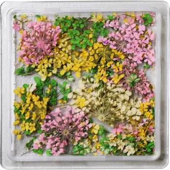 DENATO s.r.o. Sušené květy 12