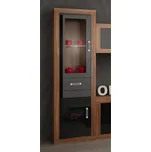 Regál GOUDINI 2, švestka wallis/černý lesk, 5 let záruka + vyzvednutí ZDARMA