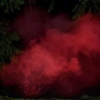 Zahraniční hudba CD P.A. Hülsenbeck: Reaping From The Conflux 2020