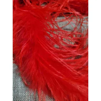 Karnevalový doplněk Boa - krůtí peří 30 g délka 2 m barva červená