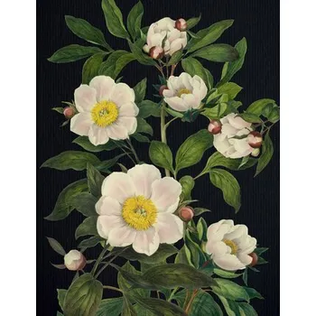 Blooming Flowers Journal - Editors of Chartwell Books