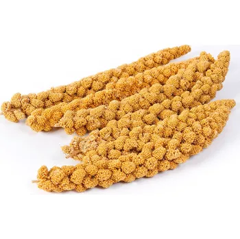 Pro ptáka Senegalské proso žluté 15Kg