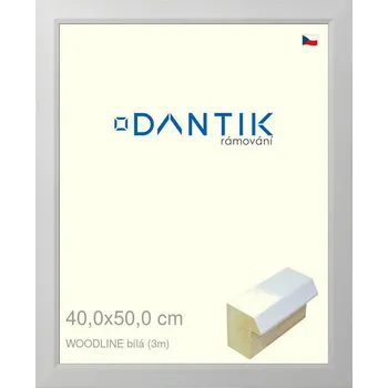Rám na obraz DANTIK rámeček 40x50 | WOODLINE bílá (Sklo Čiré) (Vyrobeno s láskou u nás v DANTIKU)