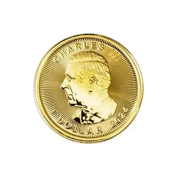 Maple Leaf 1/20 Oz - Investiční zlatá mince