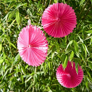 Dámské pantofle 3Pagen 3 lampiony růžová