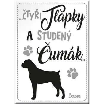 Dekorativní magnet Nekupto Magnet se psem - Boxer