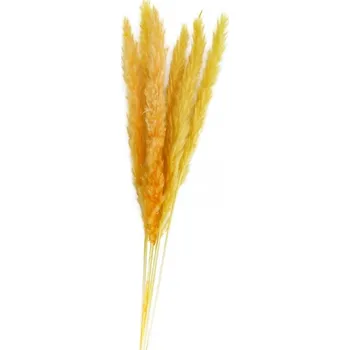umělá květina Chaks Svazek pampové trávy - Žlutá 65-75 cm