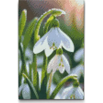 Diamantové malování Diamantové malování - Květ sněženky Velikost: 20x30cm, Rámování: Pouze srolované plátno, Diamanty: Čtvercové