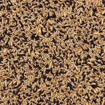 Krmivo pro ptáka Deli Nature 50 Canary Basic 4kg (Základní směs zrnin pro kanárky)