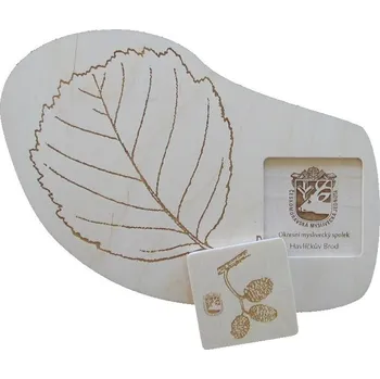 Puzzle Skládačka LISTY č.10013 - OLŠE LEPKAVÁ