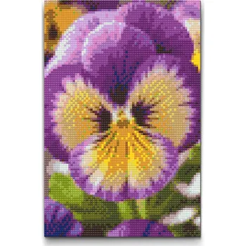 Diamantové malování Diamantové malování - Květ macešky Velikost: 20x30cm, Rámování: Pouze srolované plátno, Diamanty: Kulaté