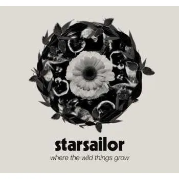 Zahraniční hudba CD Starsailor: Where The Wild Things Grow DIGI 2024 Digipack