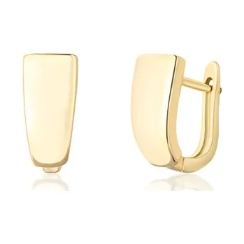 Náušnice Dámské zlacené stříbrné náušnice STNAU1855F