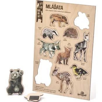 Magnetická kreslící tabulka Lesní svět | Velké vylomeniny - Mláďata (A4)