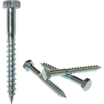 Vrut DIN 571 - Vrut do dřeva pr. 10 x 30 mm, částečný závit, šestihranná hlava 17 mm, Zinek bílý, (100ks)