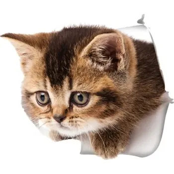 Samolepící dekorace Nálepka na zeď | 3D samolepka na zeď kočka - 17