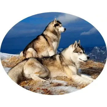 Nášivka Nažehlovačka s vlkem I (digitální nažehlovačka)