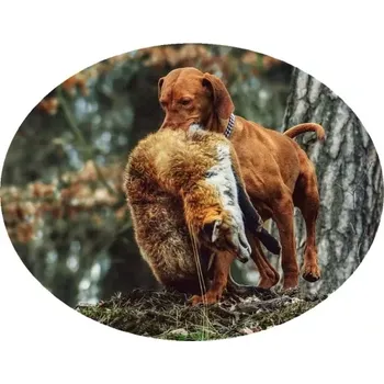 Nášivka Nažehlovačka myslivecká PES A LIŠKA (digitální nažehlovačka pro myslivce)