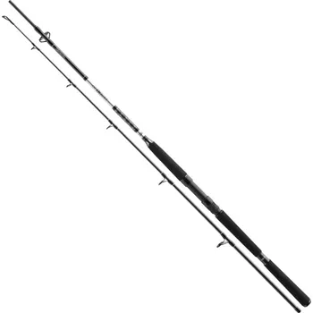 Daiwa Prut BG Pilk 3,00 m 50-165 g