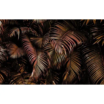 Fototapeta Vliesová fototapeta na zeď Rasch 363135, Magic Walls, 4,24 x 2,65 m (8 pruhů o šíři 53 cm)