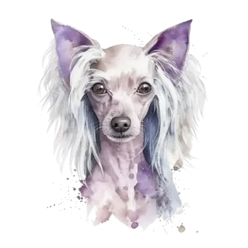 Nášivka NAŽEHLOVAČKA - Naháč