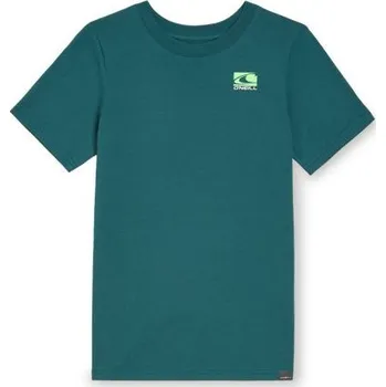 Dívčí tričko O'Neill Jack T-Shirt Jr 92800613615 164
