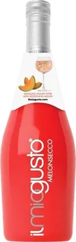 Míchaný nápoj Il MioGusto Melonsecco 0,75 l