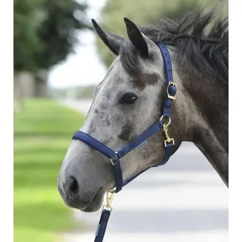 Ohlávka BUCAS Dublin, modrá, vel. FULL (AP 25 DOPRODEJ)