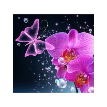 Diamantové malování ParNarZar 5D Diamantové malování Motýl 35x35 cm