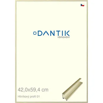 Rám na obraz DANTIK rámeček 42x59,4 | ALU profil 7001 zlatá lesklá alternativa (Plexi Čiré) (Vyrobeno s láskou u nás v DANTIKU)